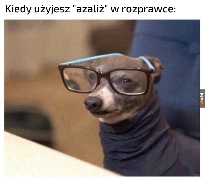 Mędrzec
