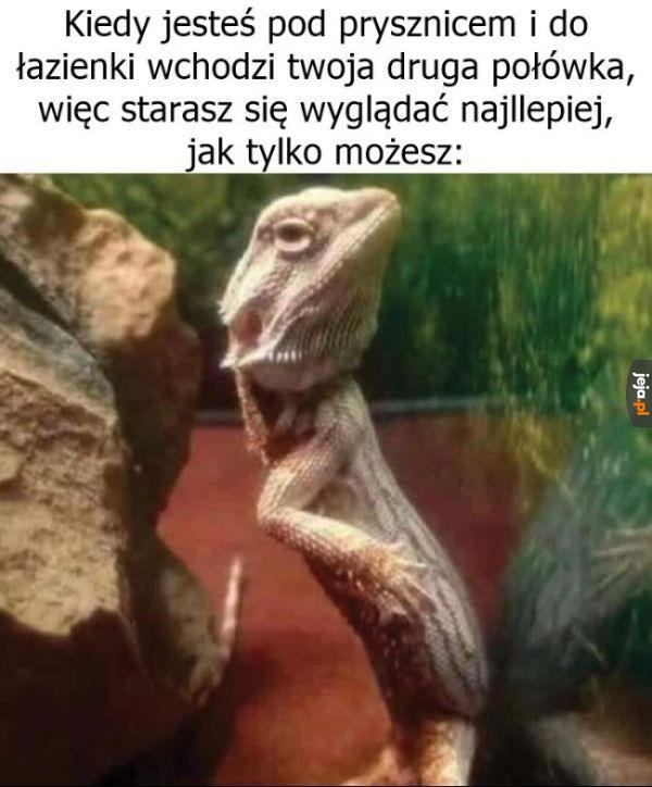 No hej maleńka