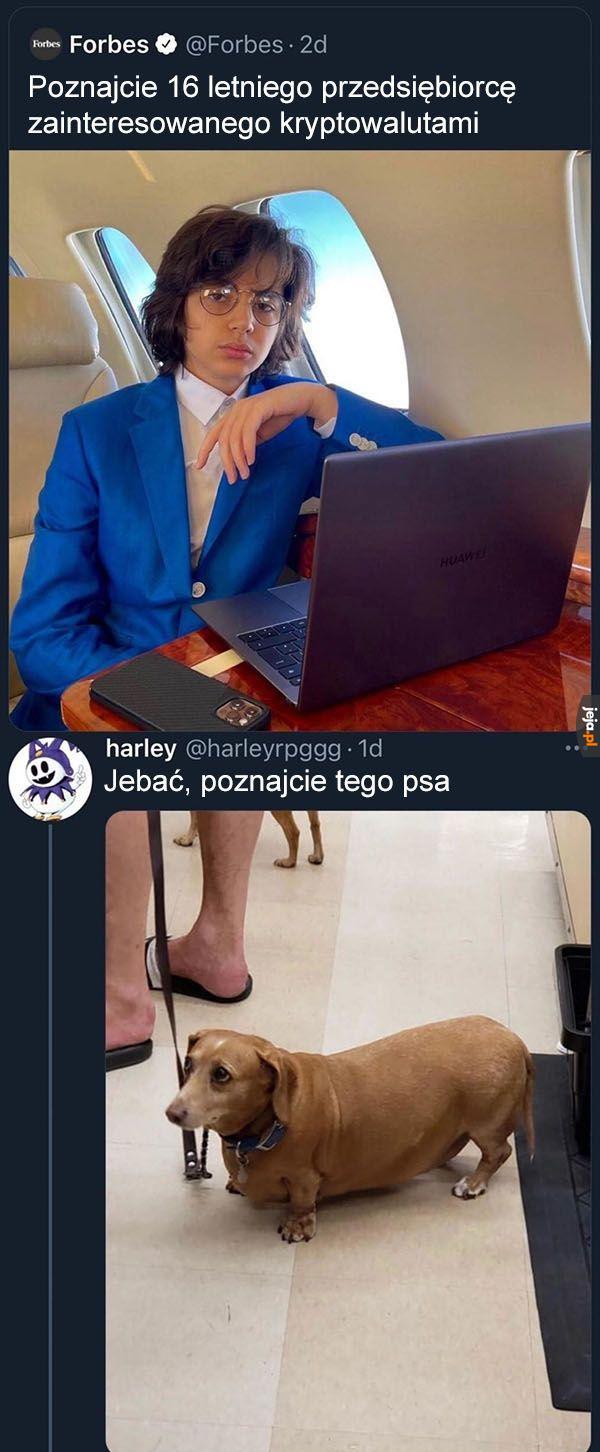 Sprawy ważniejsze od nieistotnych
