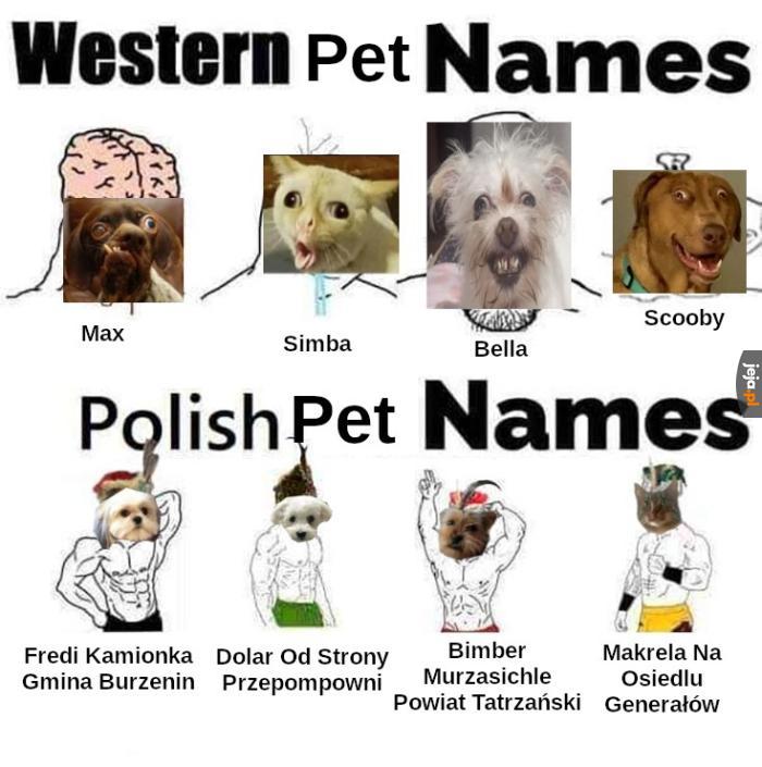 Polska szkoła imion wymiata