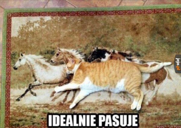 Ładne koniki