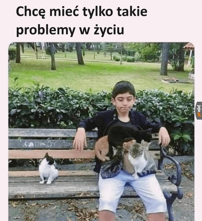Fajnie by było