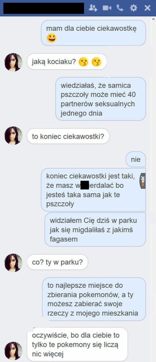 Pszczela ciekawostka