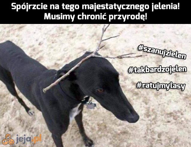 Dziwny jakiś
