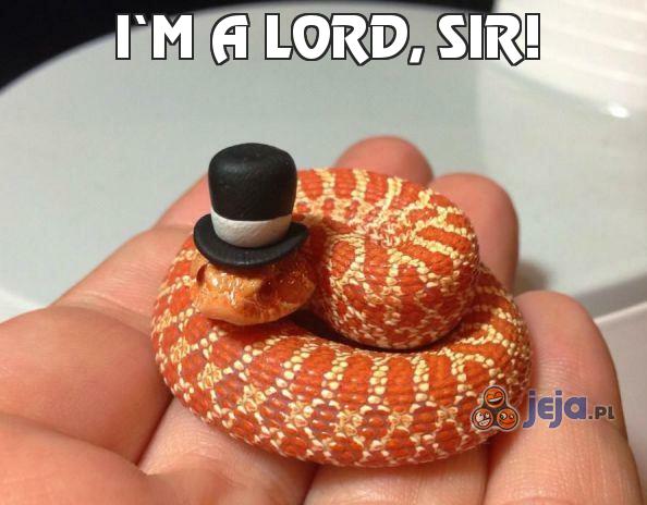 I'm a lord, Sir!