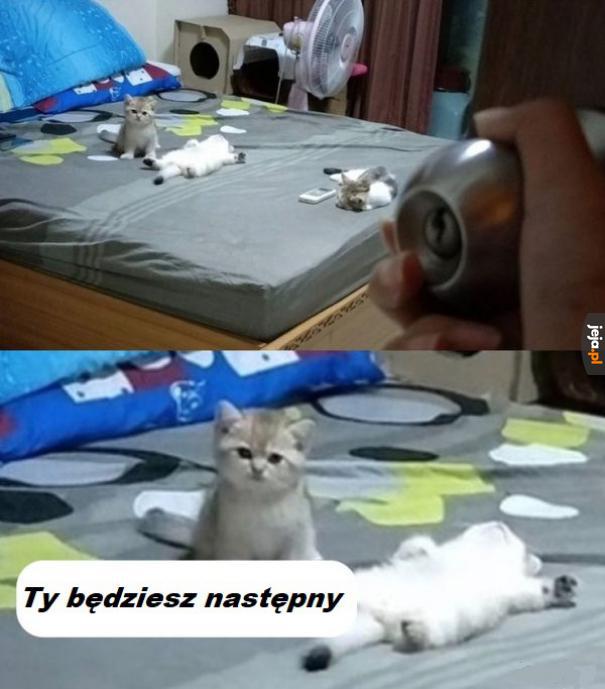 Brutalny kitku