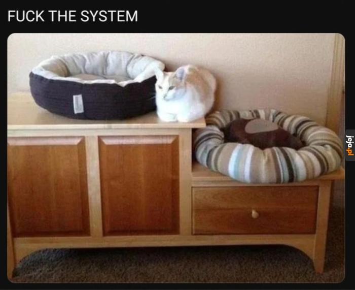 Poza systemem