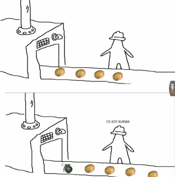 Niespodzianka