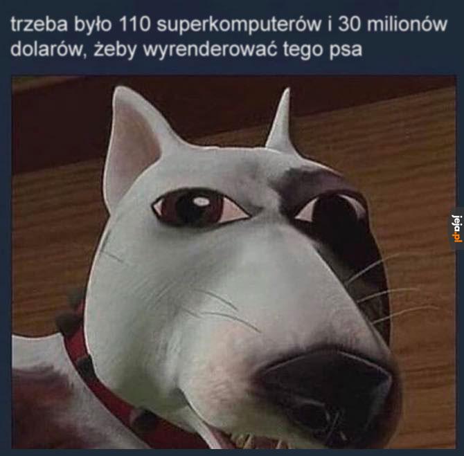 Warto było