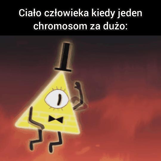 Nie dziękujcie za dzienną dawkę traumy z Bilem Cyferką