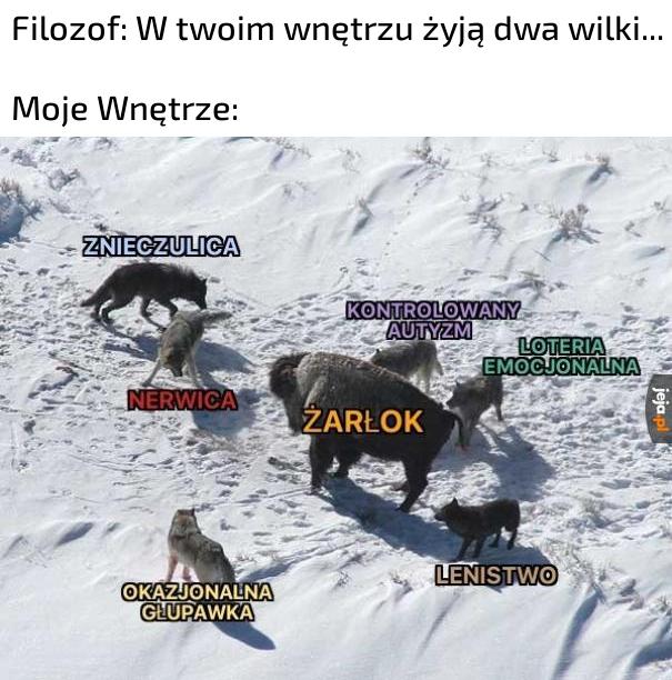 Jest ich tam więcej niż myślisz...