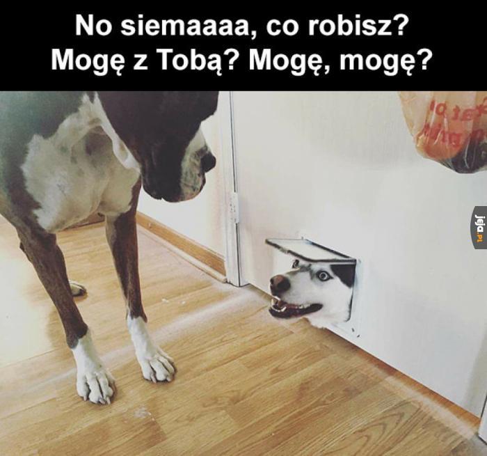 Każdy zna taką osobę