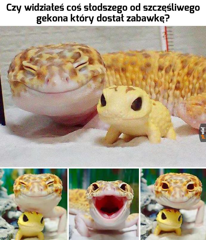 Sama słodycz