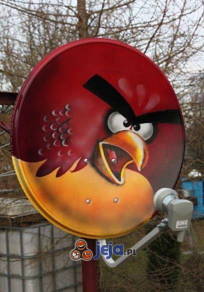Satelita Angry Birds