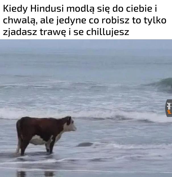 Niezłe życie