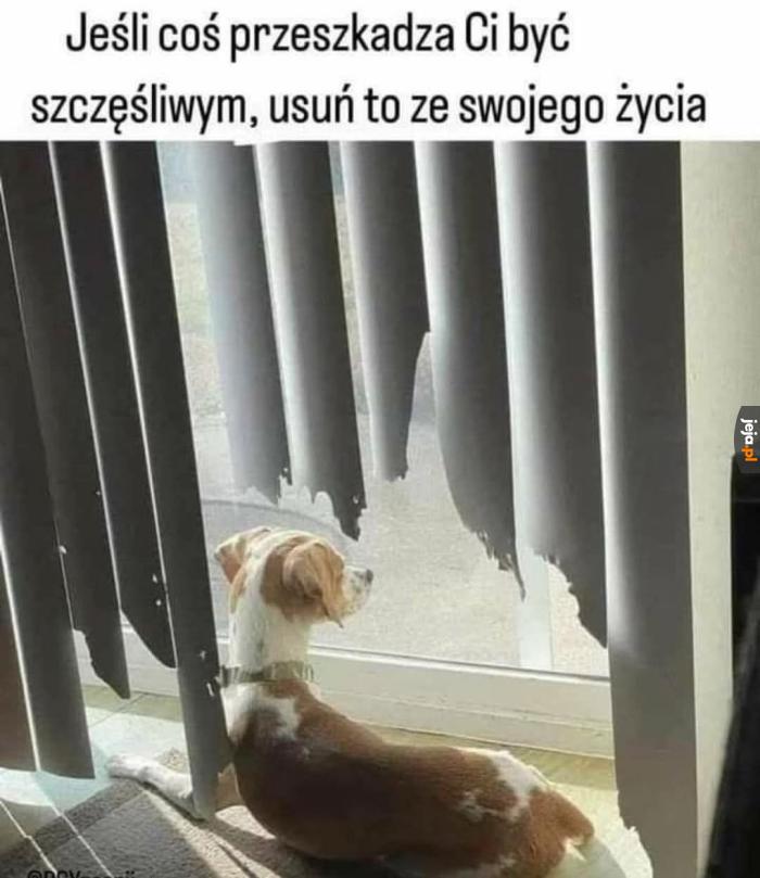 Nie czekaj ani chwili