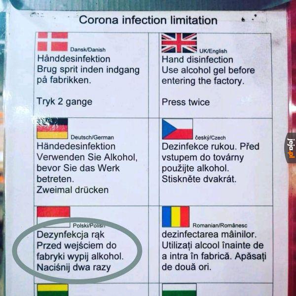 Polska instrukcja