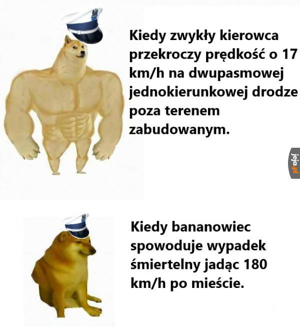 Rodzaje kierowców