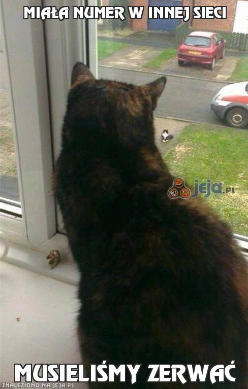 Miała numer w innej sieci