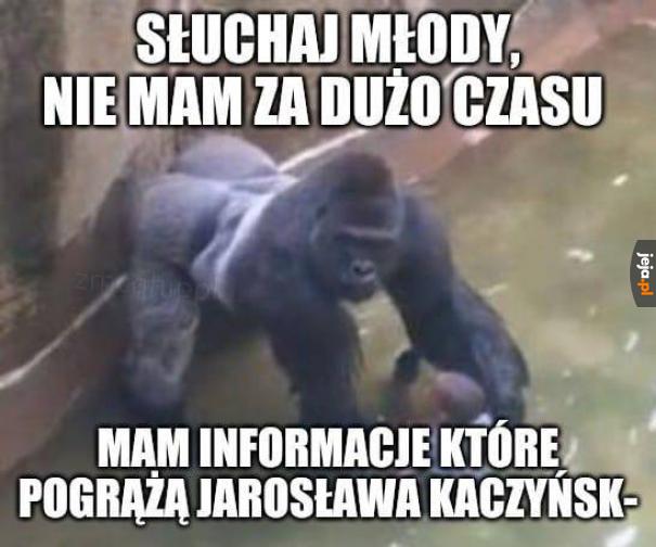 Tak było na prawdę, nie dajcie się zwieść