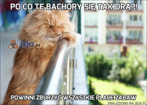 Po co te bachory się tak drą?!