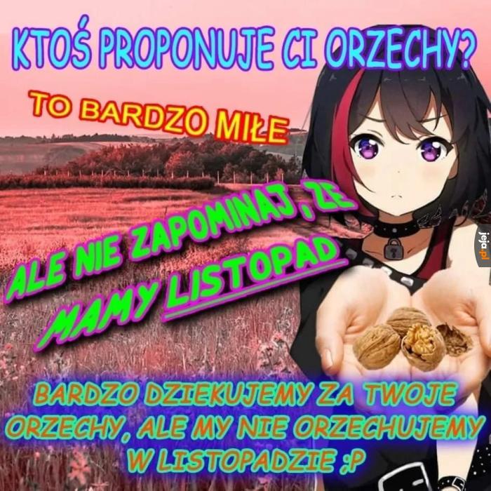 Orzech