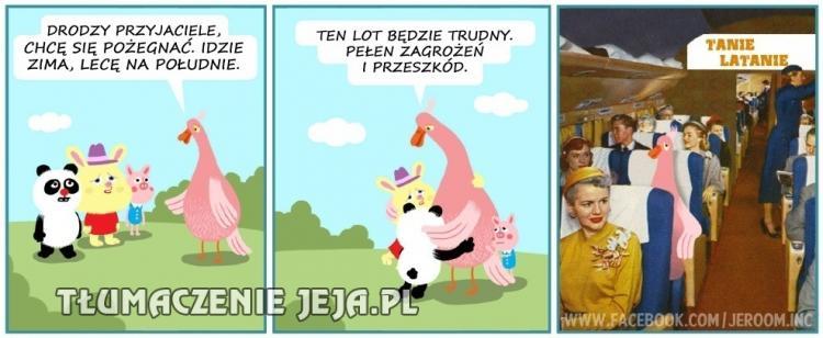 Czeka mnie długi, trudny lot...