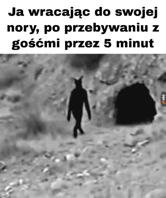 Żegnam
