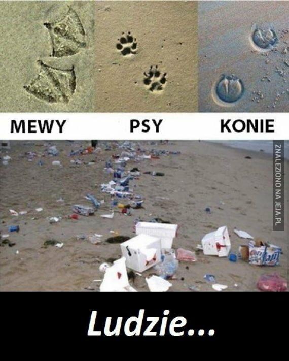 Tropienie po śladach