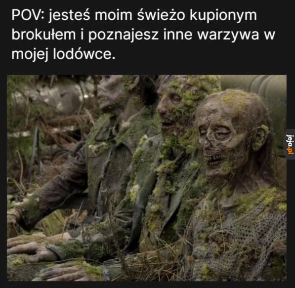 Witajcie towarzysze niedoli