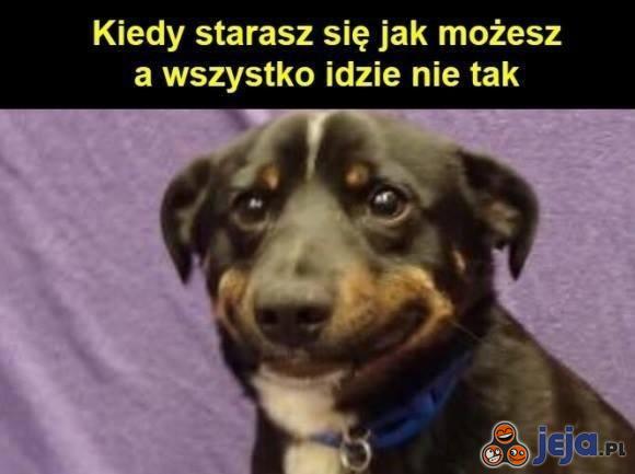 Nic nie poradzisz