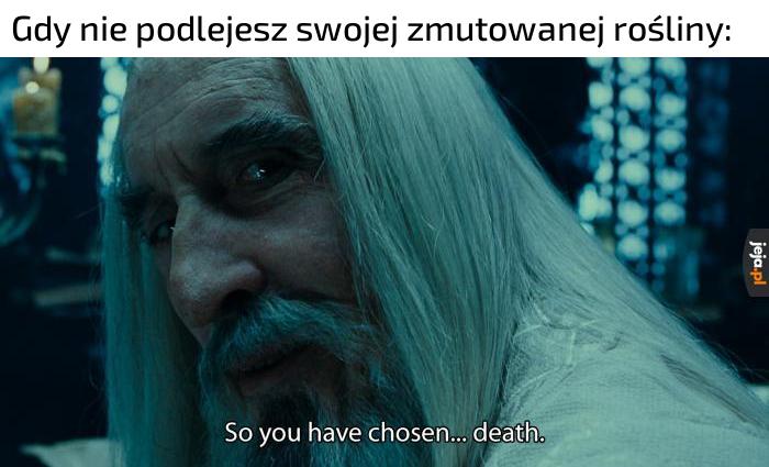 Tytuł ma kłopoty