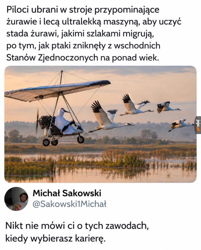 Wymarzona praca
