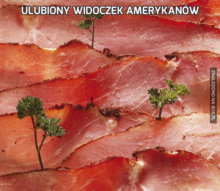 Ulubiony widoczek Amerykanów