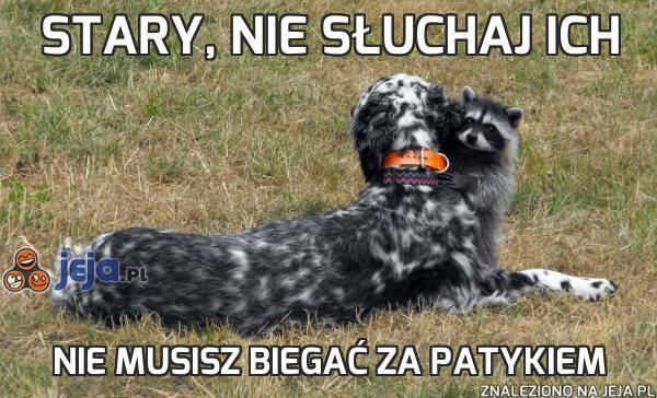 Stary, nie słuchaj ich