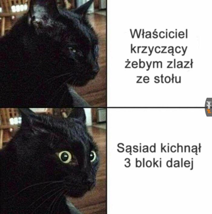 CO TO BYŁO