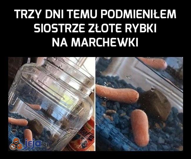 Nadal niczego nie podejrzewa