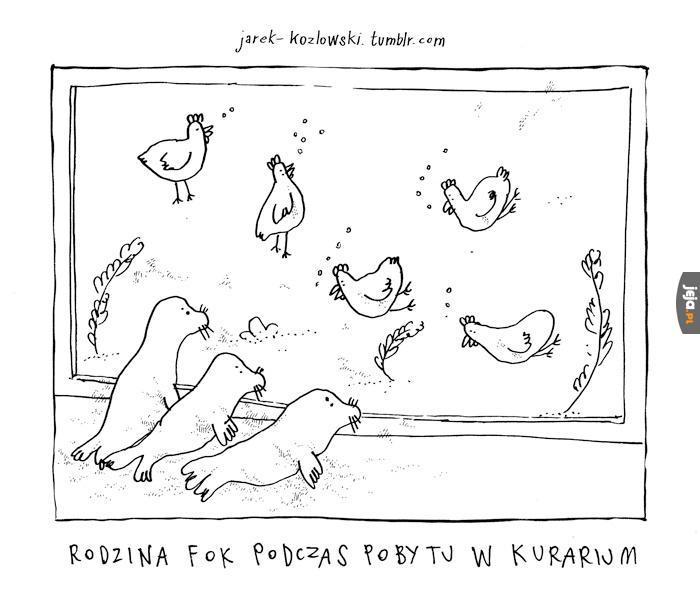 Tymczasem w kurarium