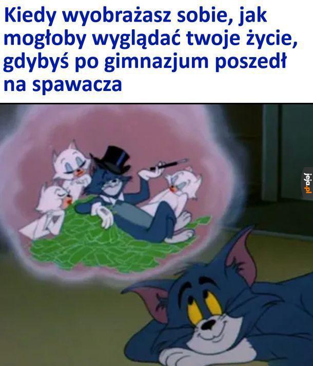 Mogło być tak pięknie