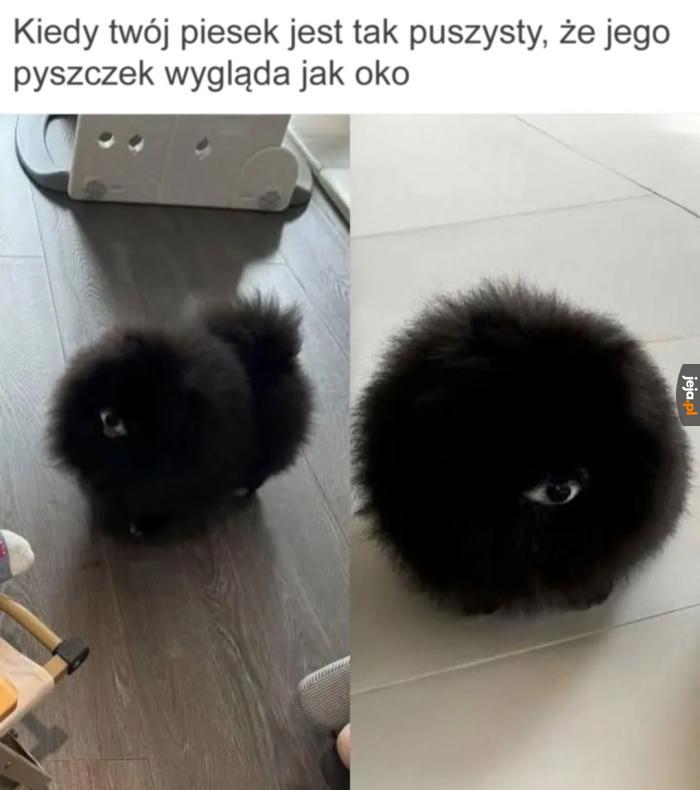 Oko ciemności