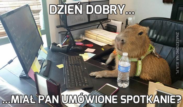 Dzień dobry...