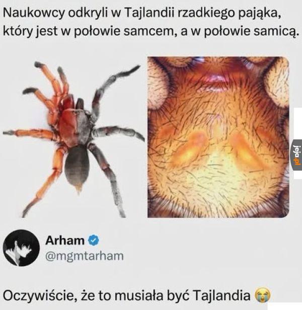 Wiadomo