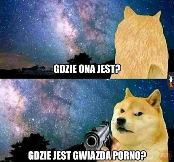 W sieci