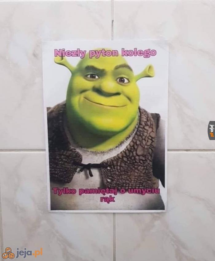 Shrek docenia i radzi