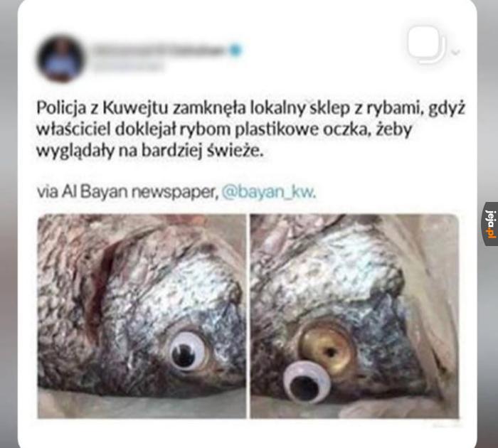 Łybkaa 🐟