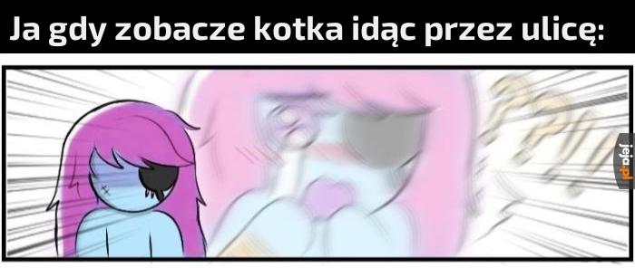 Kitku :D
