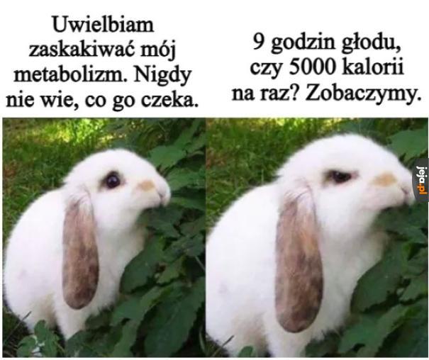 Cyk metabolizm rozjejany