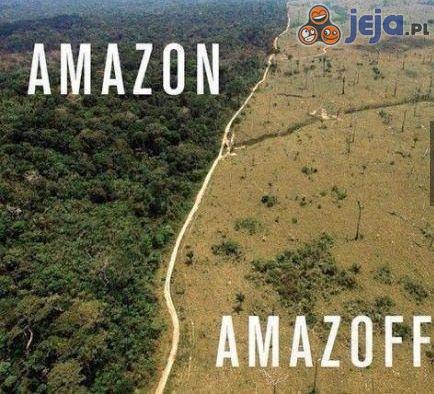 Skutki wycinki lasów amazońskich