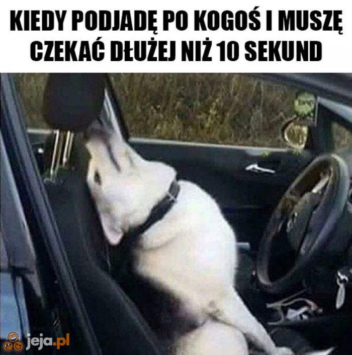 No ile można czekać?!