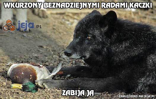 Nowy bohater internetu